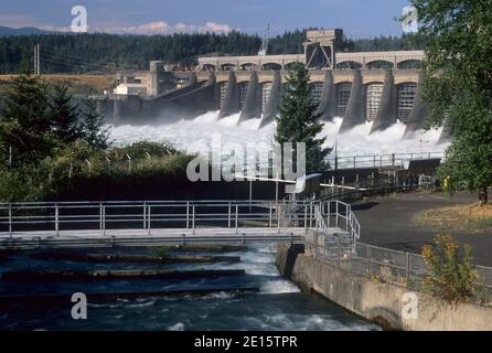 Bonneville Dam, Columbia River Gorge National Scenic Area, Oregon Stock Photo