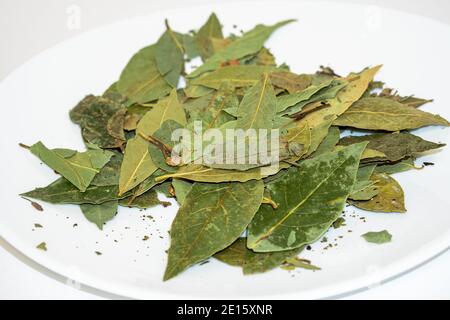 Dried green bay leaves on a white spice plate Stock Photo