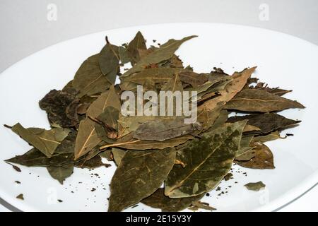Dried bay leaves on a white plate on the table Stock Photo