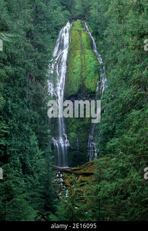 Lower Proxy Falls, Three Sisters Wilderness, Willamette National Forest, Oregon