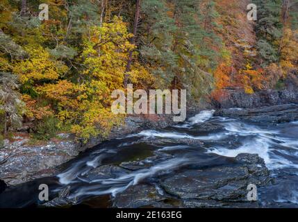 Western Highlands, Scotland: Fall colors of the beech forested canyons above the river Moriston, Invermoriston Stock Photo