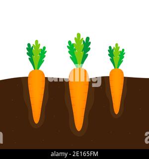 Carrot icon. Flat design on a white background. Vector stock illustration Stock Vector