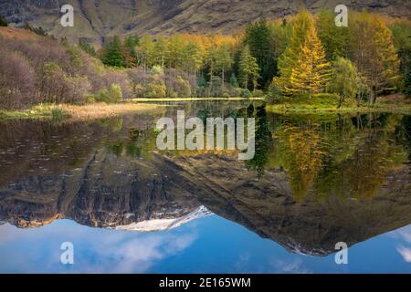 Glencoe, scotland, highlands, reflections, autumn, fall, color, travel, travel destination, tree, forest, mountain, grampian, highlands