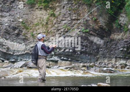 Mature man fly fishing in mountain river during summer days. Fisherman using rod and equipments during sport activity outdoors. Stock Photo