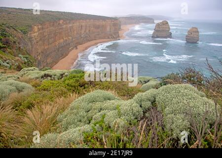 View along Gibsons Steps beach at the Twelve Apostles Stock Photo