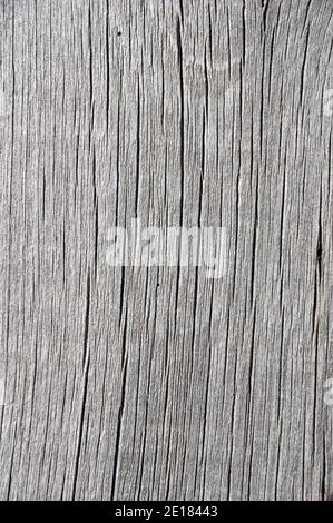 old gray woodgrain background from a weathered wooden board Stock Photo