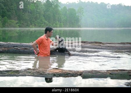 Man playing with pet Rottweiler dog in the lake. Beautiful nature landscape background. Stock Photo