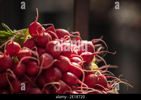 Selective blur on a stack of pink, red globe radishes ready for being sold on a market. Also called raphanus raphanistrum, it is a root vegetable.   P Stock Photo