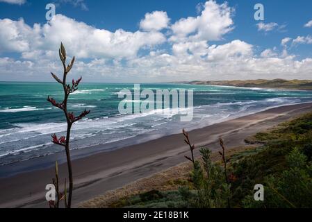 Panorama of Ngarunui beach, perfect surfing spot in Raglan, Waikato, New Zealand Stock Photo