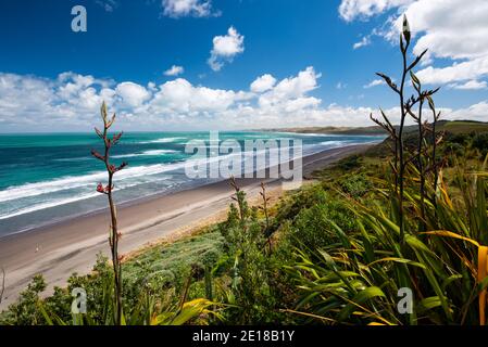 Panorama of Ngarunui beach, perfect surfing spot in Raglan, Waikato, New Zealand Stock Photo