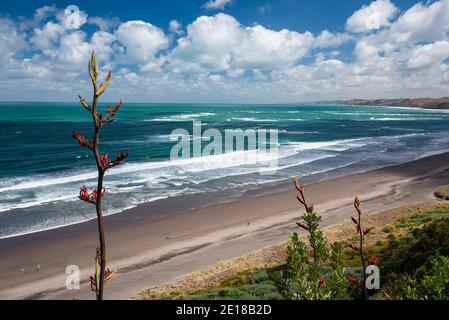 Panorama of Ngarunui beach, perfect surfing spot in Raglan, Waikato, New Zealand Stock Photo