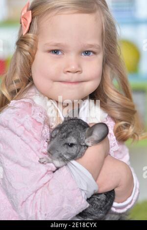 Portrait of cute little girl playing with chinchilla Stock Photo