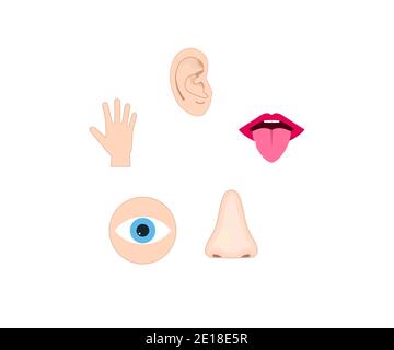 Human senses icon. Vector illustration, flat design. Stock Vector