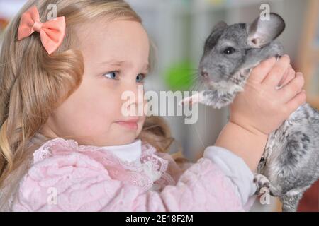 Portrait of cute little girl playing with chinchilla Stock Photo