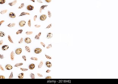 Boarder made with quail eggs and bird feathers on a white background. Top view Flat lay Copy space. Stock Photo