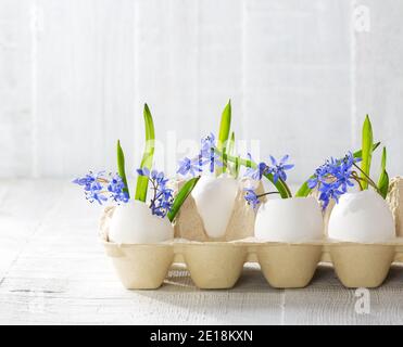 Early spring flowers ( Scilla siberica) in eggshells on old wooden white table.  Easter decor Stock Photo