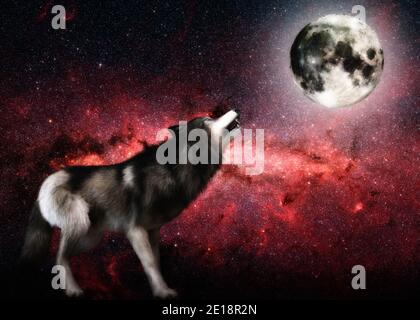 Digital 3D Illustration Of A Wolf, Elements By NASA Stock Photo