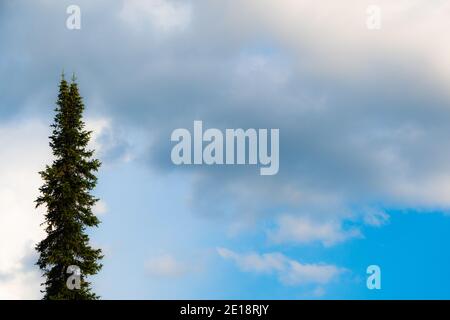 Soft cloud texture on blue sky background Stock Photo