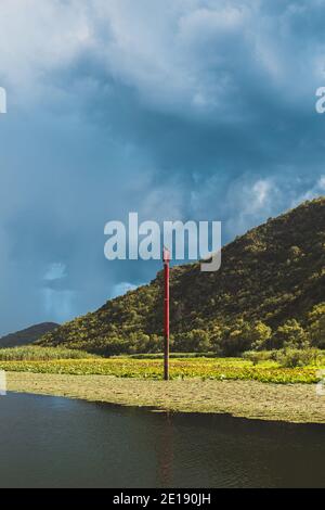 Navigation pole in the riverbed on a boat route - a bird sits on a log in the reserve Stock Photo
