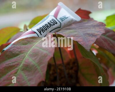 GOMEL,BELARUS - JANUARY 5, 2021: PRORASO repairing gel. Proraso is a personal care and grooming brand owned by the Italian company Ludovico Martelli. Stock Photo