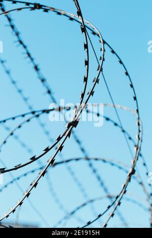 Types of barbed wire with sharp thorns against a blue sky - the concept of restriction of freedom and no travel - lockdown due to pandemic Stock Photo