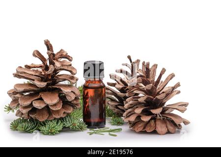 An aromatherapy oil bottle surrounded by pine branches and leaves and pine cones Stock Photo