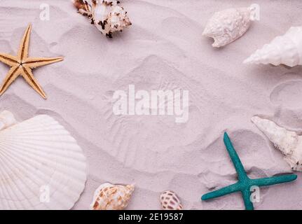 Starfish and seashells on dune sand. Top view Vacation background. Stock Photo
