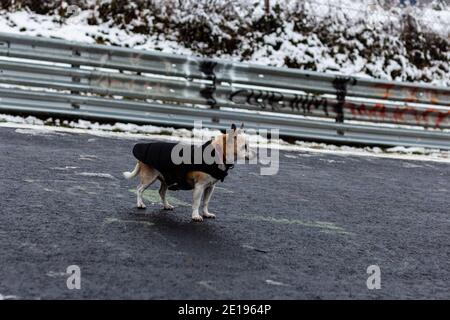 Nürburgring Nordschleife, Race Track, snow in winter Stock Photo