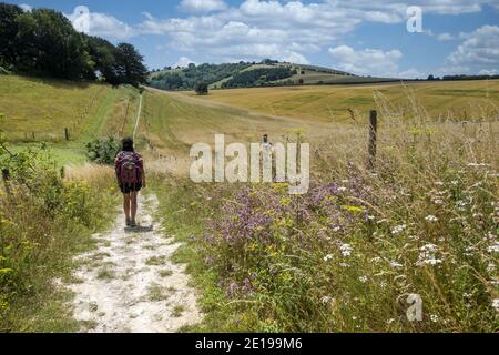 Hiker on the Hangers Way, a 21-mile-long-distance footpath through Hampshire from Alton railway station to Queen Elizabeth Country Park, England, UK Stock Photo