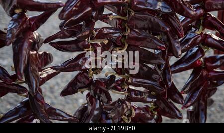 Espelette red bell pepper Capsicum annuum food chilli drying in sunlight Ezpeleta Baigura et Mondarrain, Bayonne french basque country Pyrenees Atlant Stock Photo