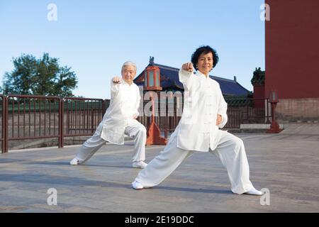 Two old people playing Tai Chi in the park high quality photo Stock Photo