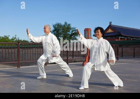 Two old people playing Tai Chi in the park high quality photo Stock Photo