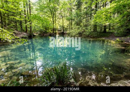 Ochiul Beiului, a small emerald lake found while trekking on the Nera gorge in the Beusnita National Park in Romania. Stock Photo