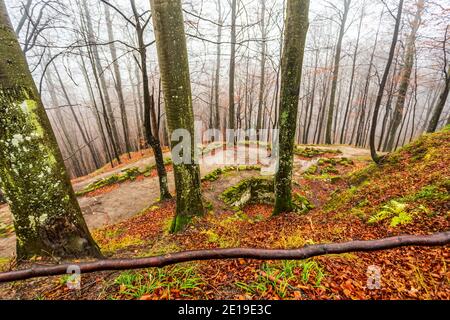 Mystical ancient forest ruins. Photo taken on 30th of November 2019 in the ancient forests around Sarmizegetuza Regia (the ex-capital of Dacia), Huned Stock Photo