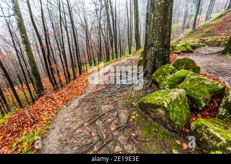 Mystical ancient forest ruins. Photo taken on 30th of November 2019 in the ancient forests around Sarmizegetuza Regia (the ex-capital of Dacia), Huned Stock Photo