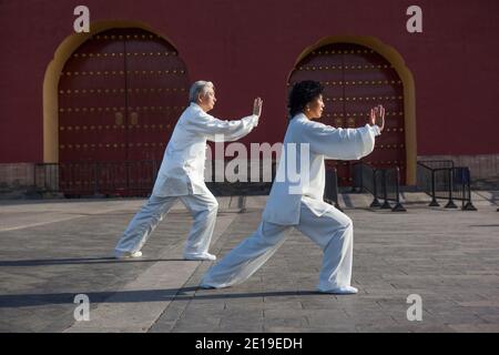 Two old people playing Tai Chi in the park high quality photo Stock Photo