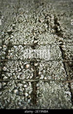 Aged concrete wall texture with iron grid. Old textured cement grunge wall surface background pattern with cracks and scratches. Stock Photo