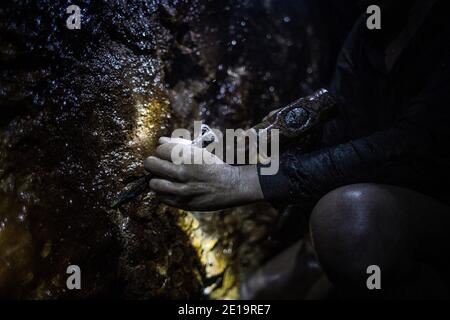 Artisanal illegal gold mining in Indonesia Stock Photo