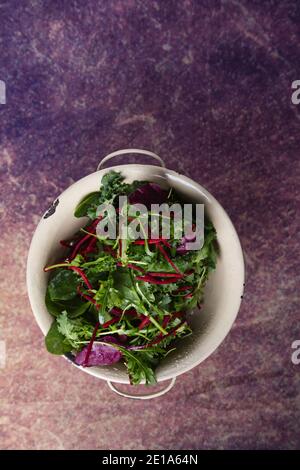 Old colander containing an assortment of salad leaves. Stock Photo