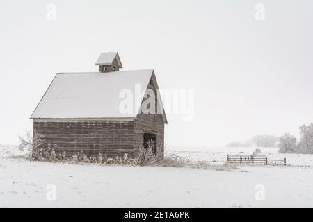 Old wooden barn in the snow on a foggy winter day.