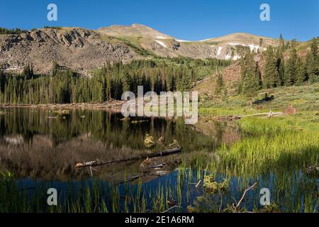 Hartenstein  Lake, with Turner Peak rising above at 13,237 feet.   Located within San Isabel National Forest in Southern Colorado. Stock Photo