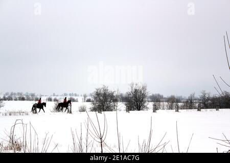 riding on two black horses in snow in a winter wonderland Stock Photo