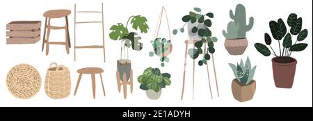 Set of indoor plants in a flat style and silhouettes. Vector ...