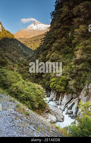 Panoramic view of teh scenery off the Haast Highway, South Island, New Zealand Stock Photo