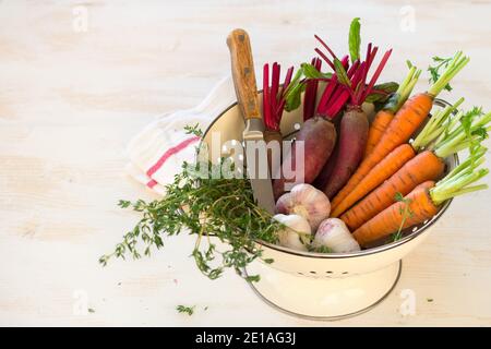 Fresh young organic vegetables, carrots, beets, garlic and greens for salad in colander on white background. Healthy vegan food Stock Photo
