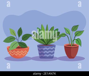 bundle of three house plants in ceramic pots Stock Vector