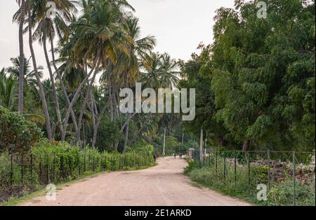 Hampi, Karnataka, India - November 4, 2013: Prasanna Virupaksha underground Shiva Temple. The dirt road to the sanctuary with green foliage on both si Stock Photo