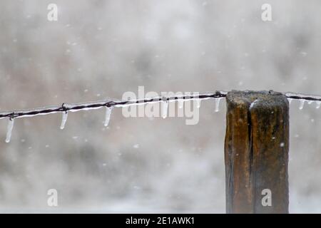 Ice covered barb wire fence and wooden post . High quality photo Stock Photo
