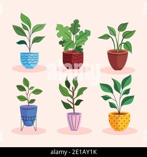 bundle of six house plants in ceramic pots Stock Vector