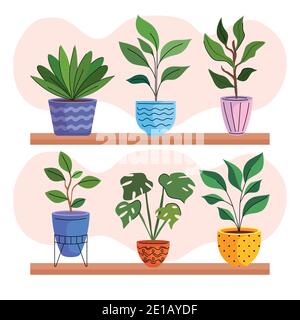 six house plants in ceramic pots over shelf Stock Vector